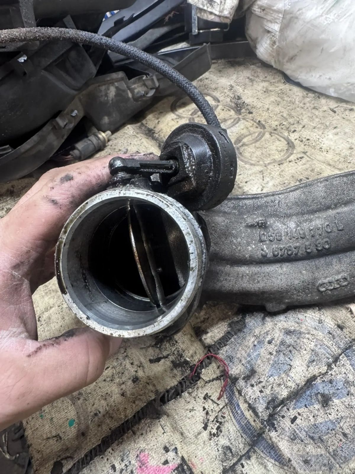 Коллектор впускной Audi A4 B6 2.5 AKE 059145770L, 3200 рублей, Малые Вязёмы
